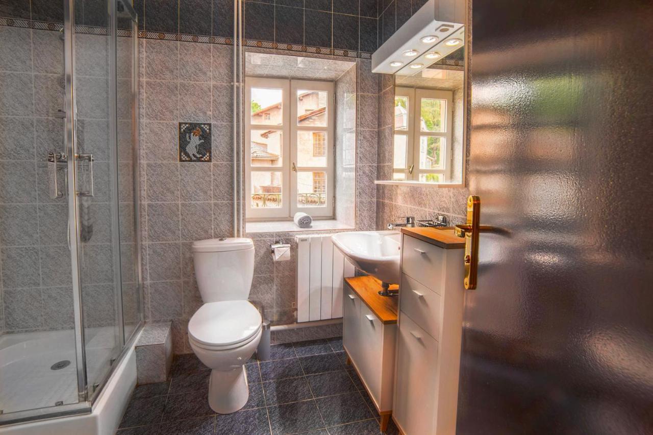Appart'Hotel Chaleureux Au Coeur De Tullins - Le Roitelet Екстериор снимка