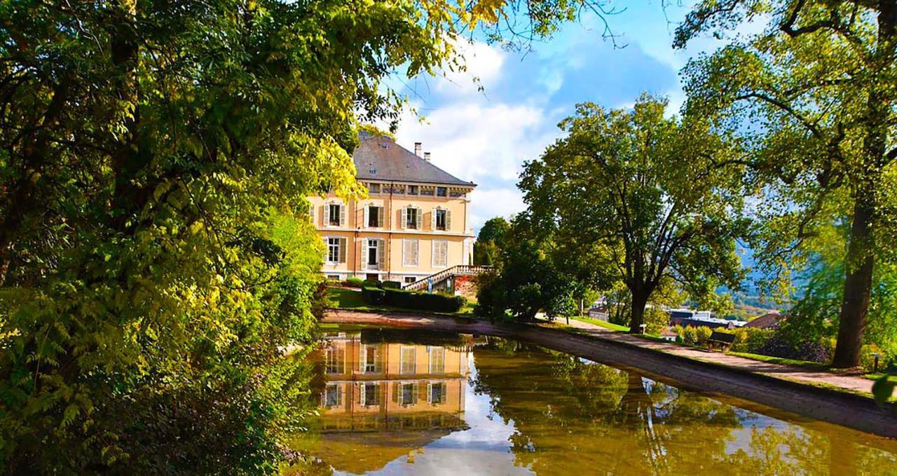 Appart'Hotel Chaleureux Au Coeur De Tullins - Le Roitelet Екстериор снимка